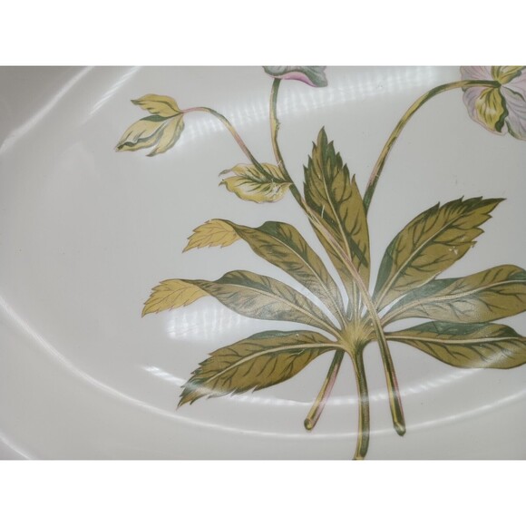 Vtg Crown Pottery Transferware Platter  Botanical Flower - Picture 4 of 8